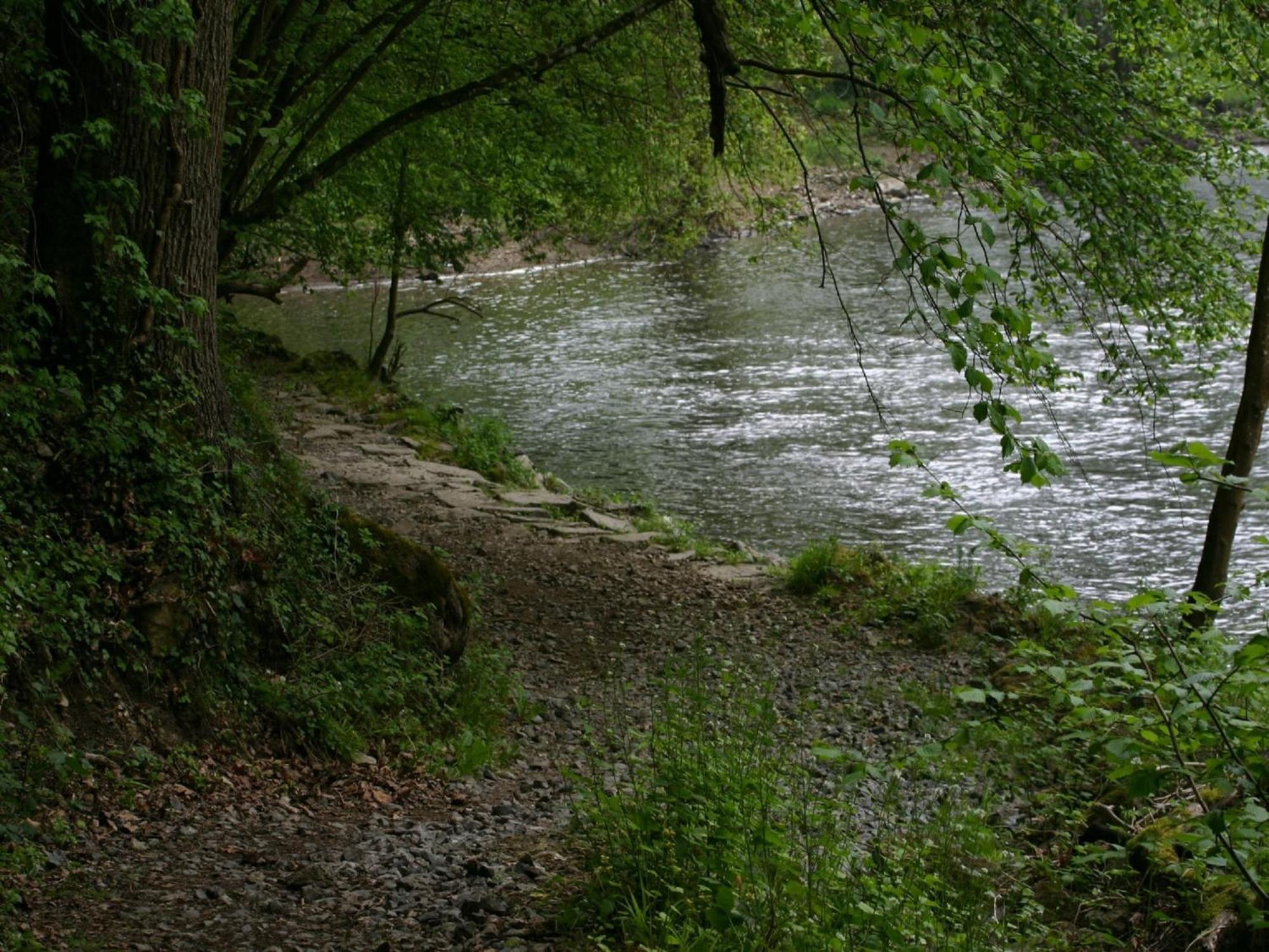 Chalet Near Ourthe River And The City Of Durbuy Vieuxville Buitenkant foto